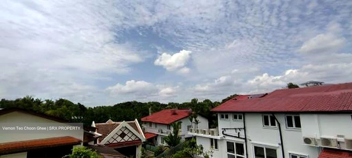 Leedon Park (D10), Detached #599678631